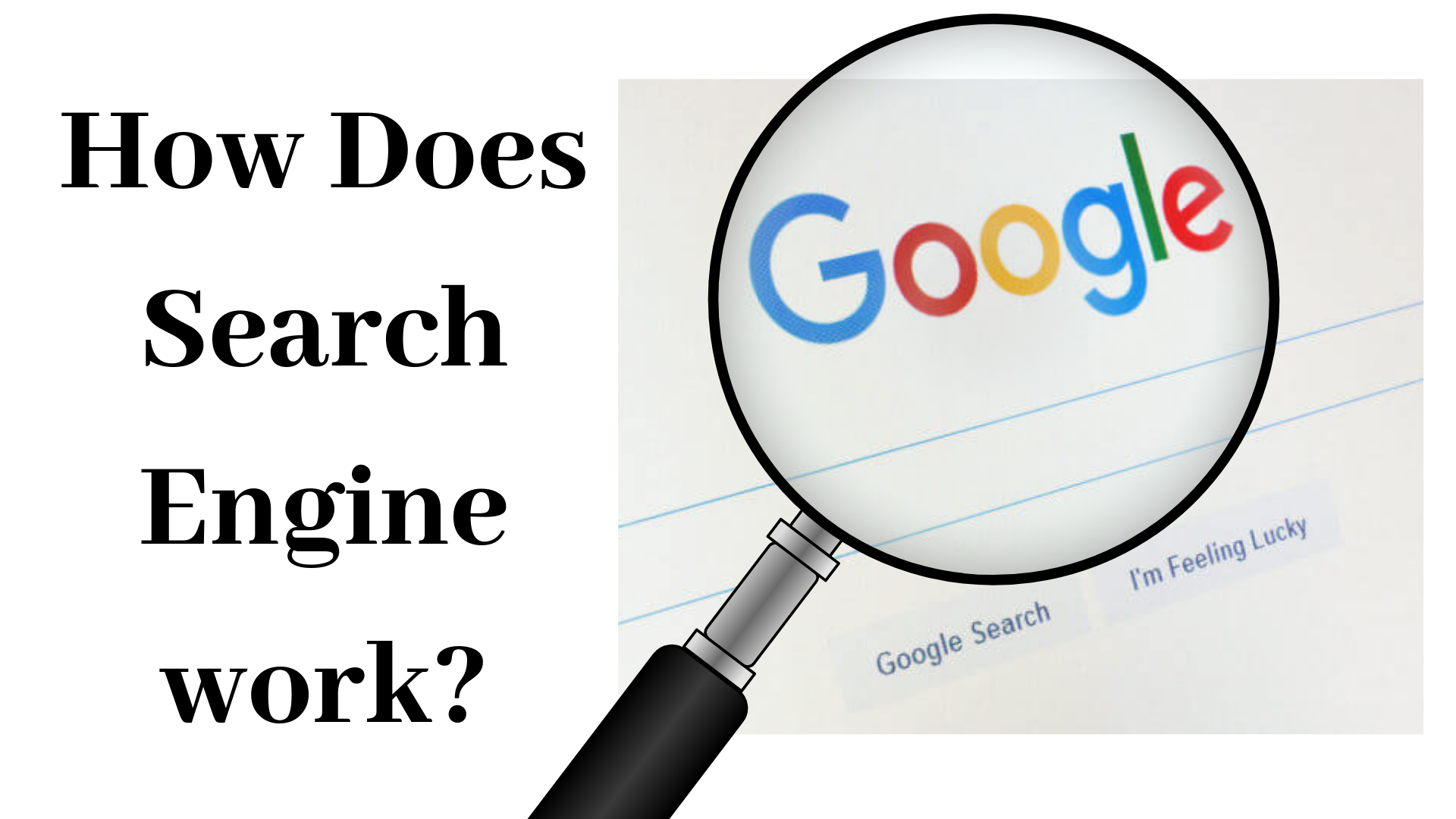 How Does Search Engine Work