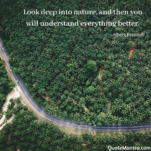Nature-quotes