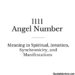 Angel Number 1111, Manifestations