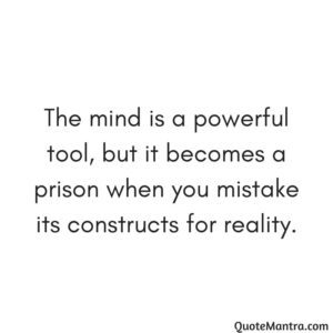 Transcending The Maya Matrix Quotes